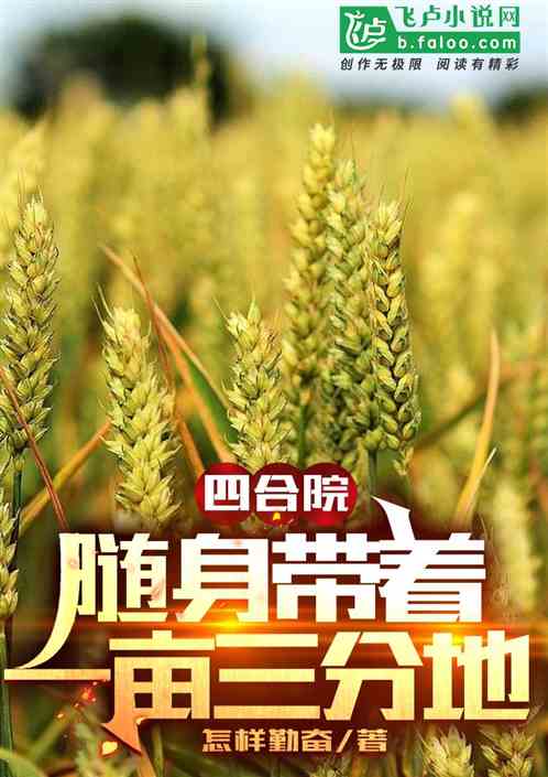 四合院：随身带着一亩三分地