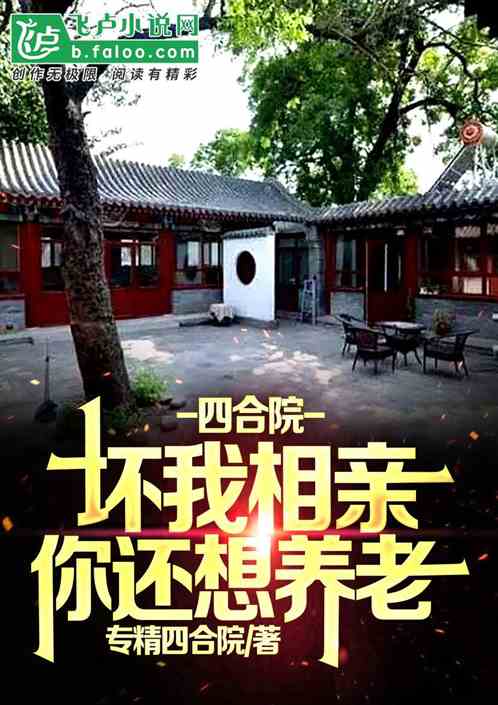 四合院：毁我相亲，你还想养老？