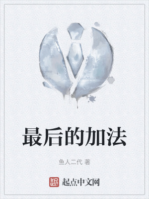 最后的加法小说