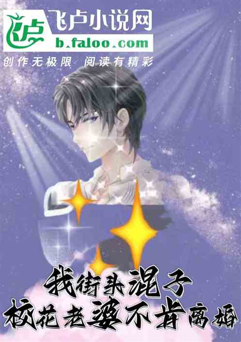 我街头混子，校花老婆不肯离婚！