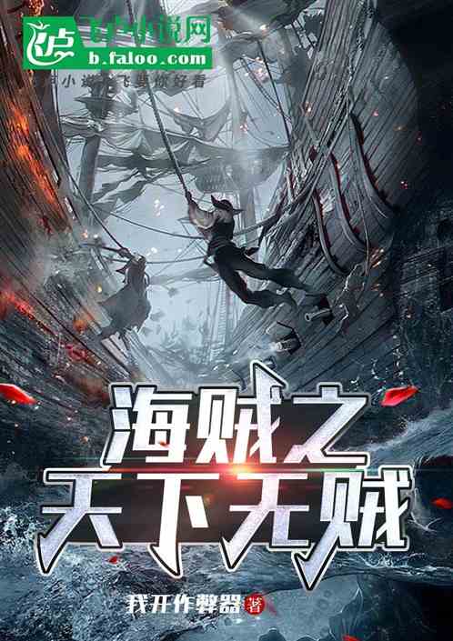 海贼之天下无贼