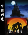 梦想闪光