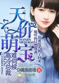 天价萌宝，高冷总裁难伺候